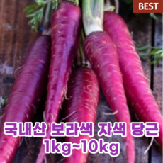 국내산 국산 자색 보라 당근 1~10kg 주스용 키로선택가능 햇 당근 컬러 푸드 색당근 산지직송 당근 즙 건강즙 자주색 당근 abc 쥬스 주스, 1kg