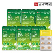 일양약품 프라임 징코 플러스 30정 (1개월분), 6개