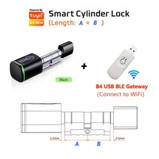 RAYKUBE-S1 Tuya BLE TT 잠금 스마트 전자 도어 장치 DIY 실린더 코어 지문 앱 키 IC 카드 해제 홈 호텔128332, [04] Tuya-B Gateway