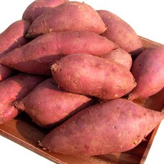 아빠의 마음 꿀고구마 베니하루카 꿀밤고구마 3kg 5kg 10kg, 1개, 꿀고구마5kg(긴상/긴특)