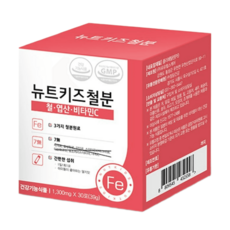 아기 유아 키즈 어린이 철분제 뉴트키즈 철분키즈, 뉴트키즈철분1bx