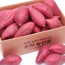 직거래농민장터 햇 고구마 퍽퍽달콤한 세척 꿀고구마, 세척 꿀고구마 3kg 긴특.긴상
