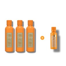 프로폴린스 프로가글 600ml 3병 휴대용 150ml 1병 선물박스, 600ml(본품) 3병  + 150ml 추가증정