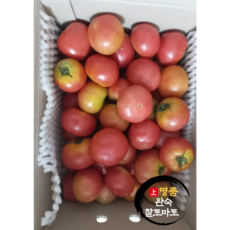 국내산 완숙 토마토 찰토마토 5kg, 1개