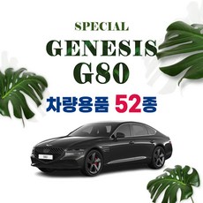 [차랑] 신형 제네시스 G80 용품 튜닝 악세사리 키케이스 인테리어 커버 몰딩 모음, 15 메탈 도어포켓