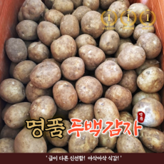 포슬포슬 국산 명품 제철 햇 감자 수미 두백 알 햇감자 감자아 3kg 5kg, 대5kg, 1개