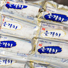 프레셔스 제주 손질 은갈치 특대, 1마리, 400g