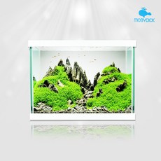 [모비딕] 32슬림 모던어항(화이트) 뚜껑포함
