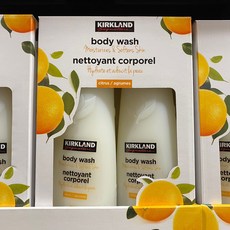 커클랜드 바디워시 800ml x 2개 코스트코 클렌저 바디 커클랜드, 든든웰03쿠팡 1, 든든웰03쿠팡 본상품선택