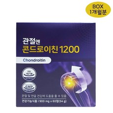 관절엔 콘드로이친1200 60정, 1개