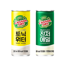 캐나다드라이 토닉워터 5캔+진저에일 5캔 총10캔, 단품