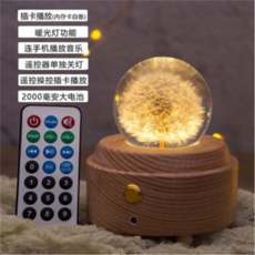 제이파크 LED 생화 표본 오르골 신제품 장식 크리스마스 무드등 스노우볼 뮤직 워터볼, 8cm 민들레 리모컨 블루투스