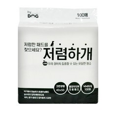 바이독 저렴하개 배변패드 사과향 100p, 1개, 100매