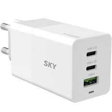 스카이 필 GaN65S USB-PD 고속 3포트 멀티충전기 어댑터 65W ZX-3U10T, 화이트, 1개