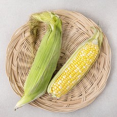초당 옥수수, 1봉