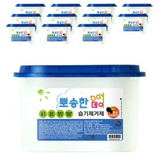 뽀송한데이 참숯 습기제거제 본품, 525ml, 12개입