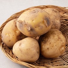국내산 감자(햇), 500g, 1개