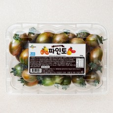 파인토 스테비아 흑방울토마토, 500g, 1개