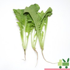 사라상회 열무 4kg, 1박스