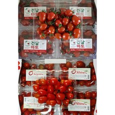 산지직송 프리미엄 고당도 저칼로리 스테비아 방울 토마토 건달마토 당일수확 선별후 발송, 스테비아(방울토마토)  1kg .500g × 2팩