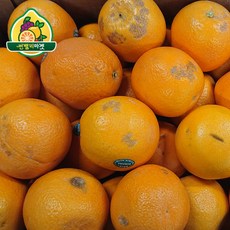 썬밸리마켓 못난이 오렌지 레몬 자몽 대용량 15kg, 1box, 못난이 오렌지 15kg