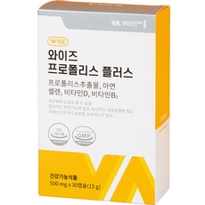 비타민마을 와이즈 프로폴리스 플러스 15g, 30정, 1개