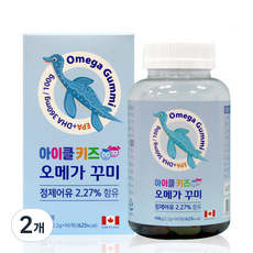 아이클키즈 오메가 꾸미, 90정, 2개