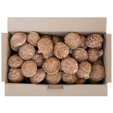표고버섯 국내산 산지직송 생표고버섯 2kg, 1개