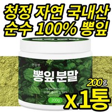 청정 자연에서 자란 뽕잎가루 100% 첨가물없는 뽕입 분말 국산 가루 파우더 뽕나무 뽕잎 가루 카페인 없는 뽕잎차 물 음료 (스푼 무료 증정), 200g, 1개