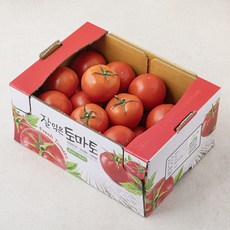 온리팜 완숙 토마토, 4kg, 1개