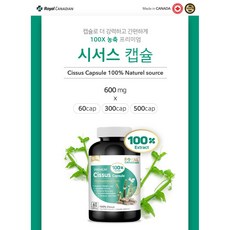 로얄캐네디언 100배 고농축 100% 시서스 캡슐 60정, 1개, 600mg/60캡슐