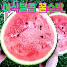 산지직송 하우스 수박/흑미수박 4kg 5kg 6kg 7kg 8kg 프리미엄 꿀당도 백화점 흑피수박 당도선별 씨별로없는 스테비아수박 임산부 부모님 수박선물 스윗 흑수박 제철수박, 일반수박, 4-5kg 1통