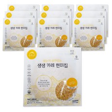 아이두비 생생 카레 현미칩, 18g, 10개