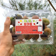 스테비아토마토 토망고 방울토마토 자달토마토, 특가1. 자달스테비아방울토마토 레드500g