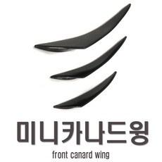 피트인 카나드윙 3종 컵윙 사이드 스포일러 에어댐 프론트립 립댐 레이저 가드 범퍼가드 휀다가드 에어로윙 미니, 대형, 카본