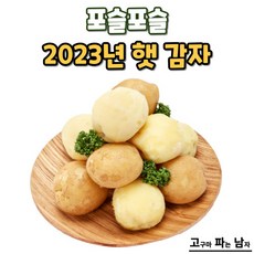 [고파남] 포슬포슬 2023년 햇 감자, 감자 특사이즈 10kg, 1개