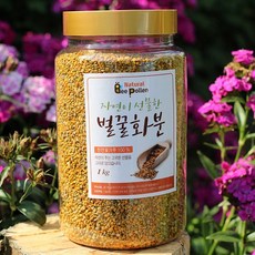 지리산 바래봉 벌화분 1kg 국내산 비폴렌 찔레 다래 머루, 찔레+다래+머루꽃 벌화분 1kg