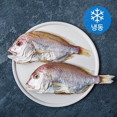양포어장 국내산 손질 반건조 꽃돔 황돔 2미 (냉동), 540g, 1개