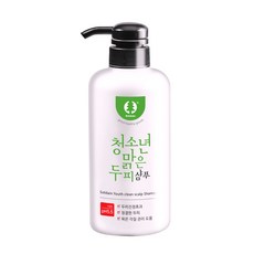 솔다인 청소년 비듬전용 맑은 두피 샴푸, 500g, 1개
