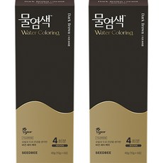 씨드비 물염색 비건 새치커버 염색약 4회분 10g, 다크브라운, 2개