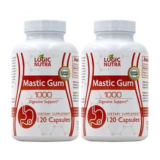 Logic Nutra 매스틱검 Mastic Gum 1000mg 120정 2팩