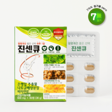 진센큐 은행잎추출물 나토키나제 혈액순환 혈행 기억력 개선 영양제, 600mg, 1개