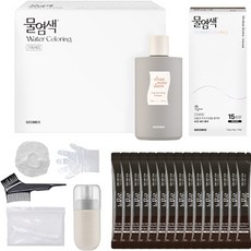 씨드비 물염색 15회분 + 채우담 샴푸 300ml 세트, 1개, 다크브라운