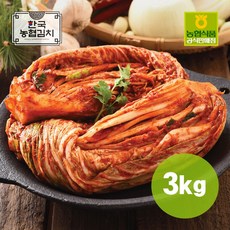 농협식품 국내산 100% 한국농협김치 포기김치 2호 3kg, 단품, 1개