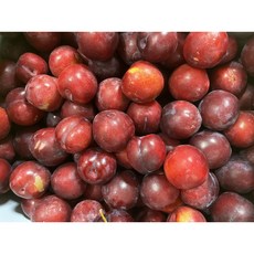 GAP 경북 의성옥자두 후무사자두 3kg 5Kg, 대석자두, 3kg(대), 1개