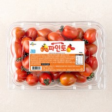 달달한 스테비아 파인토, 500g, 1개