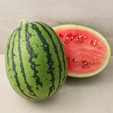곰곰 국내산 복수박, 1kg, 1개