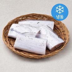 곰곰 국내산 은갈치 (냉동), 450g, 1개