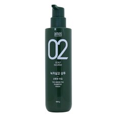 아모스프로페셔널 녹차실감 샴푸500g 산뜻한타입 일반샴푸, 선택없음
