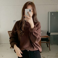 여성용 라이문 반폴라 컬러 니트